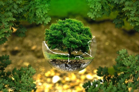 proteccion del medio ambiente